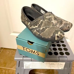 Brand New Toms